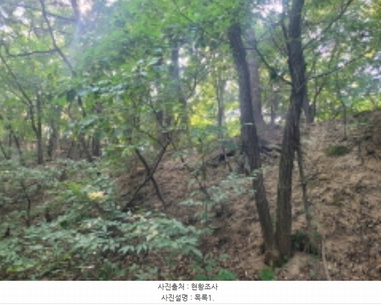 2024타경39071 경기도 이천시 부발읍 아미리 산10-19 임야 경매 이미지