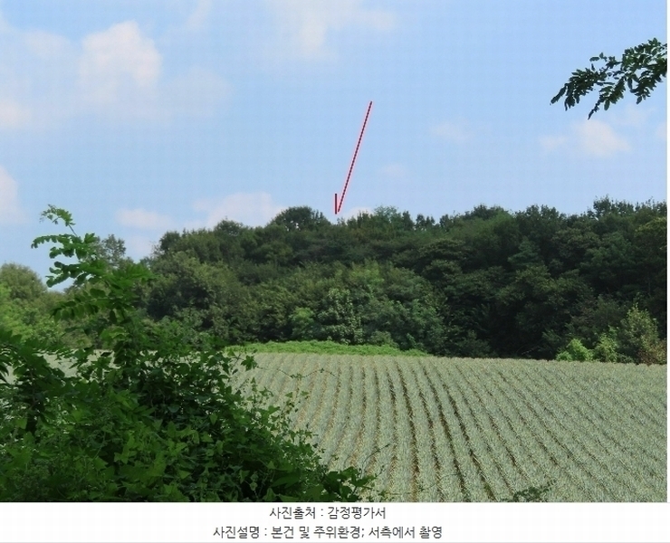 2024타경39071 경기도 이천시 부발읍 아미리 산10-19 임야 경매 이미지