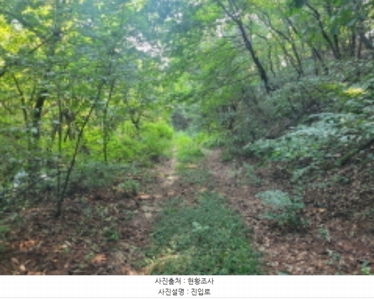 2024타경39071 경기도 이천시 부발읍 아미리 산10-19 임야 경매 이미지