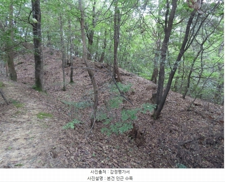 2024타경39071 경기도 이천시 부발읍 아미리 산10-19 임야 경매 이미지