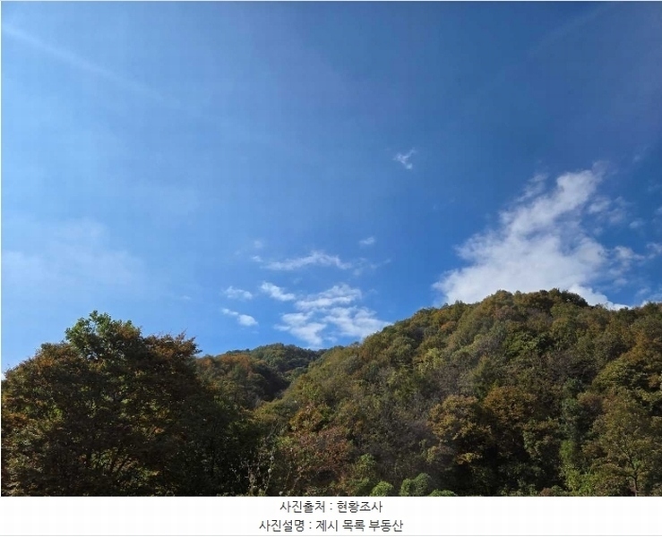 2024타경39712 경기도 양평군 양서면 증동리 26 임야 경매 이미지