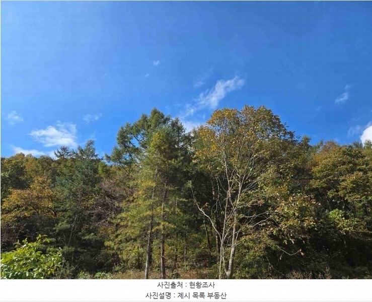 2024타경39712 경기도 양평군 양서면 증동리 26 임야 경매 이미지