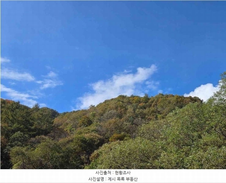 2024타경39712 경기도 양평군 양서면 증동리 26 임야 경매 이미지