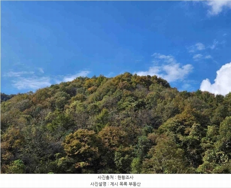2024타경39712 경기도 양평군 양서면 증동리 26 임야 경매 이미지