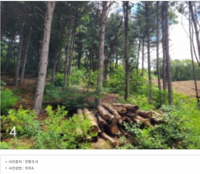 2023타경34628 경기도 양평군 서종면 문호리 1-44 임야 경매 이미지