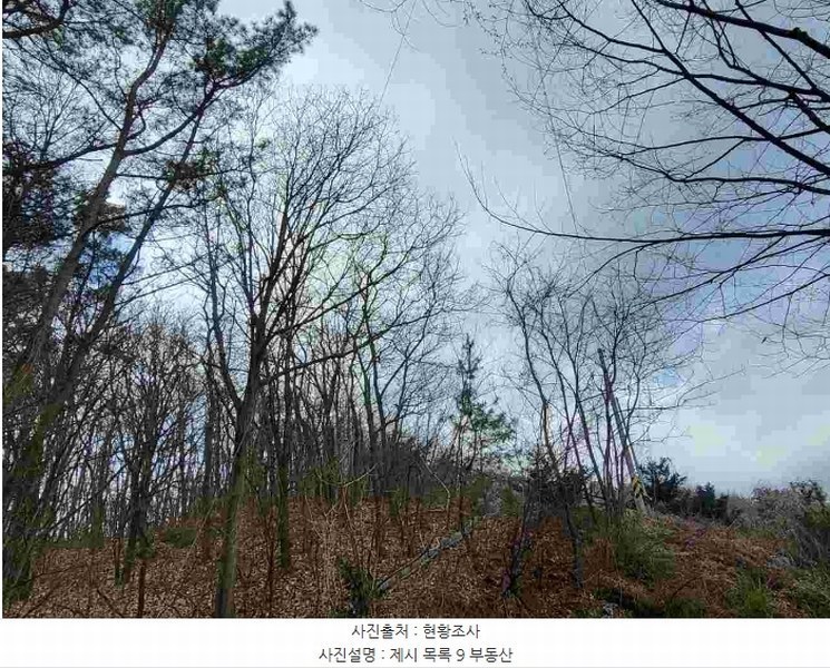 2024타경32780 경기도 양평군 지평면 수곡리 923-5 임야 경매 이미지