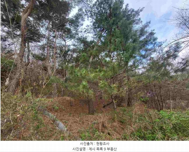 2024타경32780 경기도 양평군 지평면 수곡리 923-5 임야 경매 이미지