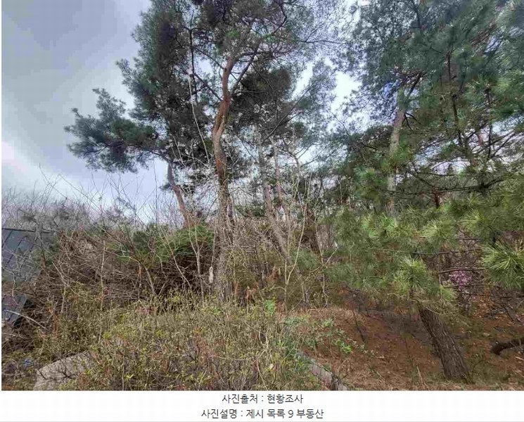 2024타경32780 경기도 양평군 지평면 수곡리 923-5 임야 경매 이미지