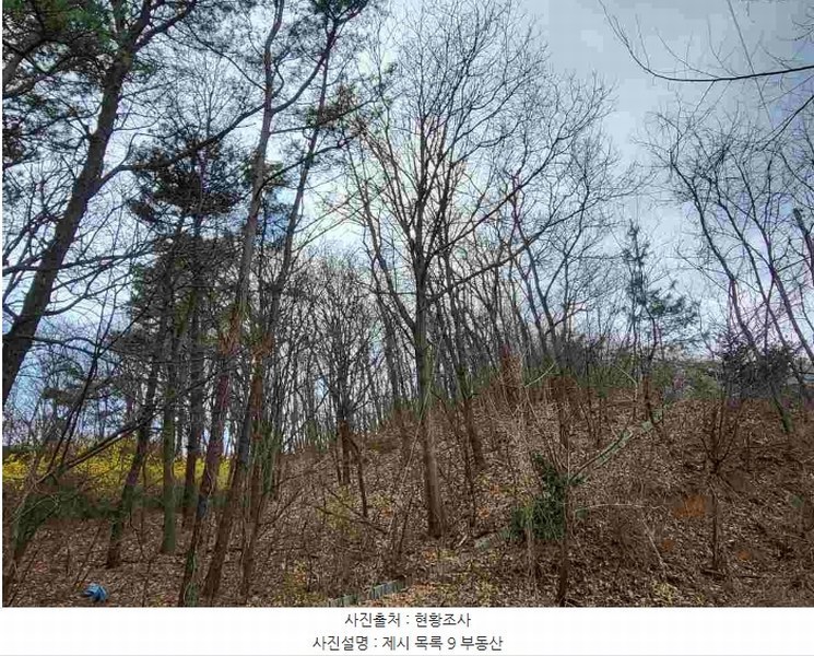 2024타경32780 경기도 양평군 지평면 수곡리 923-5 임야 경매 이미지