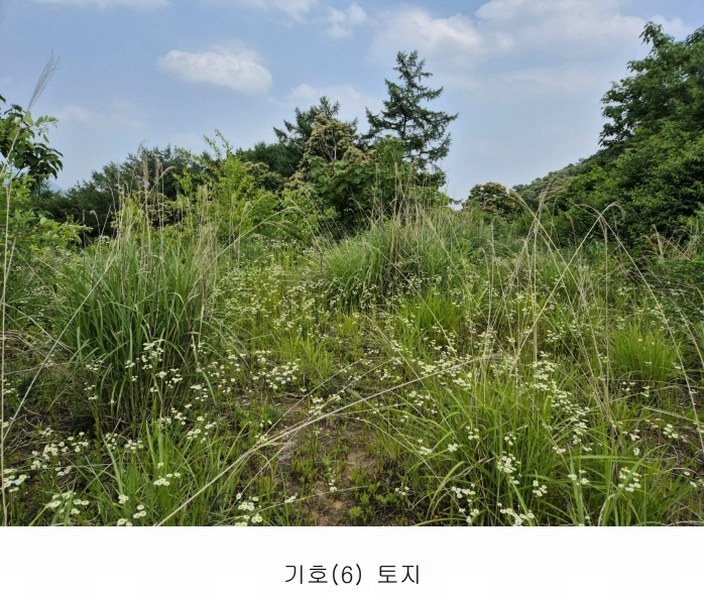2024타경34588 경기도 양평군 강상면 세월리 453-34 임야 경매 이미지