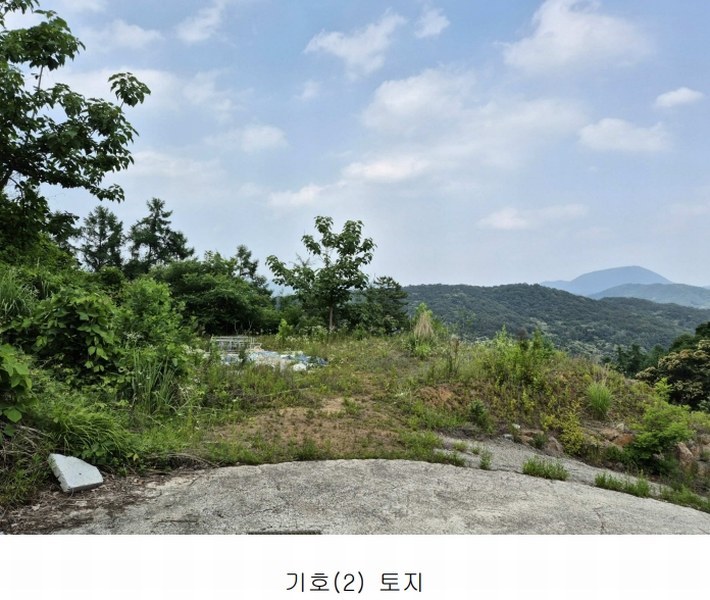 2024타경34588 경기도 양평군 강상면 세월리 453-34 임야 경매 이미지