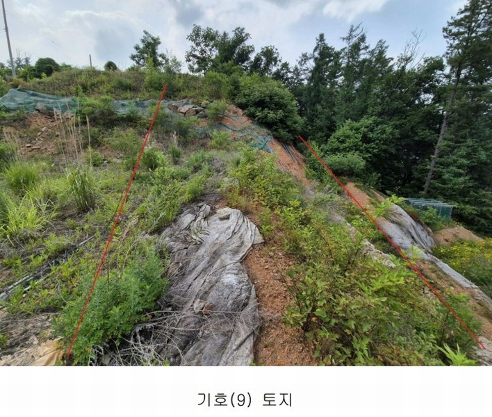 2024타경34588 경기도 양평군 강상면 세월리 453-34 임야 경매 이미지