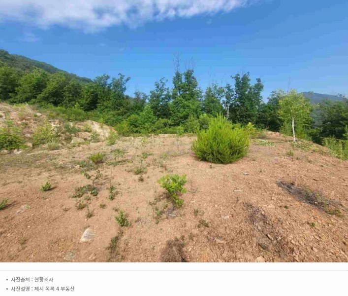 2024타경34588 경기도 양평군 강상면 세월리 453-34 임야 경매 이미지
