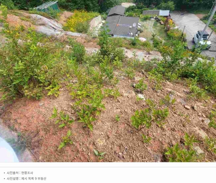 2024타경34588 경기도 양평군 강상면 세월리 453-34 임야 경매 이미지