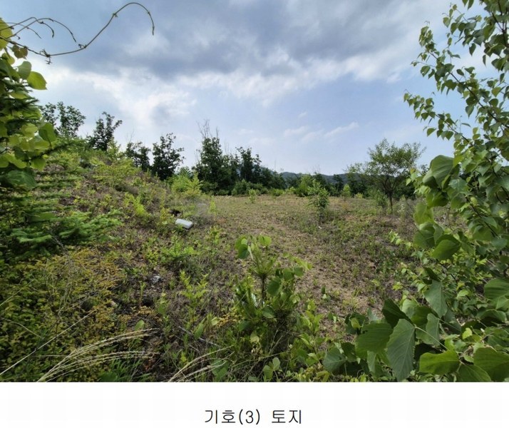 2024타경34588 경기도 양평군 강상면 세월리 453-34 임야 경매 이미지