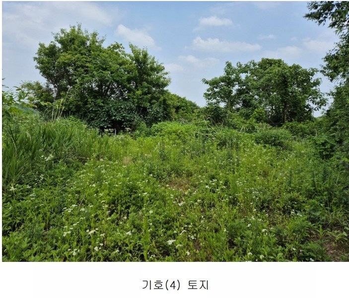 2024타경34588 경기도 양평군 강상면 세월리 453-34 임야 경매 이미지