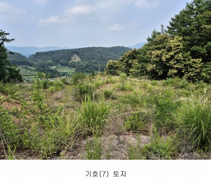 2024타경34588 경기도 양평군 강상면 세월리 453-34 임야 경매 이미지
