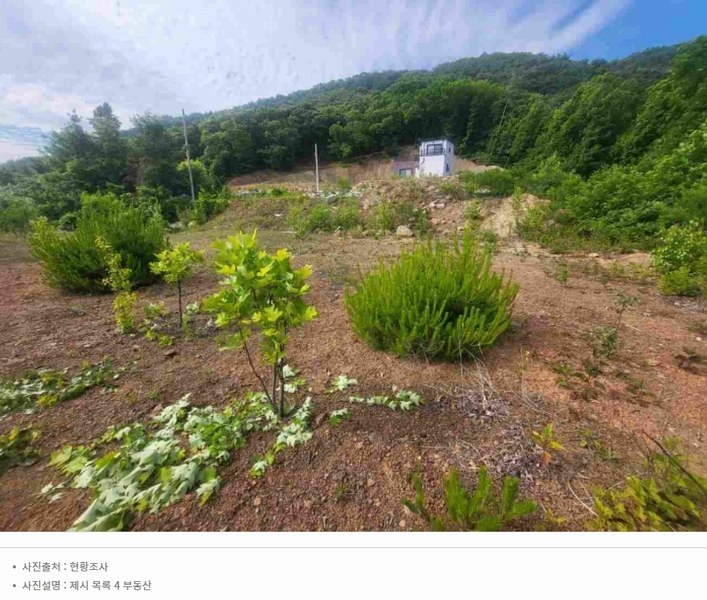 2024타경34588 경기도 양평군 강상면 세월리 453-34 임야 경매 이미지