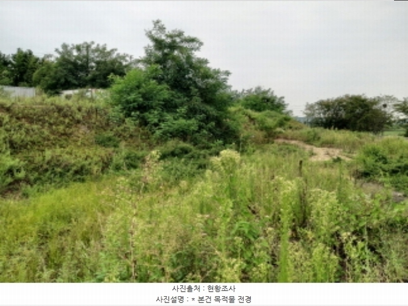 2024타경3808 경기도 평택시 팽성읍 신대리 271 대지 경매 이미지
