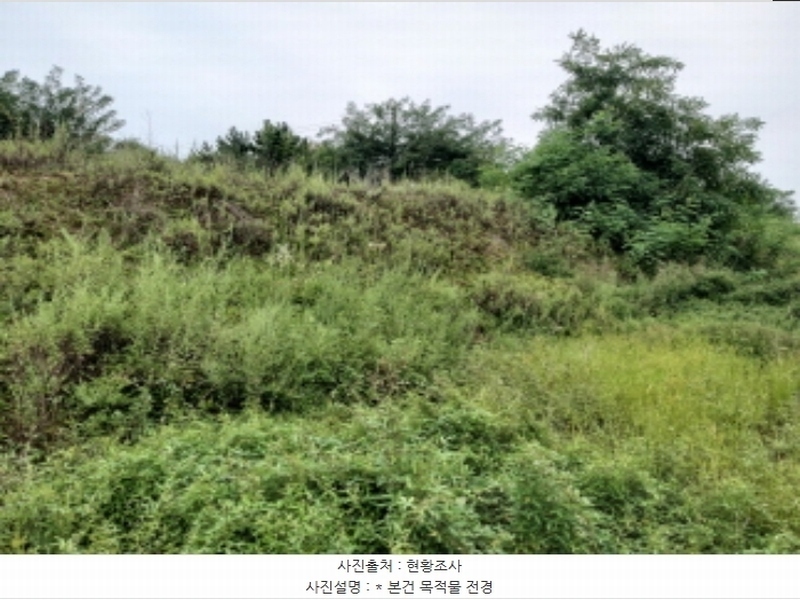 2024타경3808 경기도 평택시 팽성읍 신대리 271 대지 경매 이미지