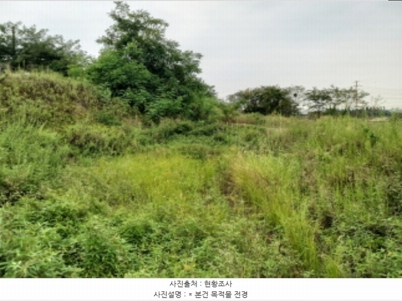 2024타경3808 경기도 평택시 팽성읍 신대리 271 대지 경매 이미지