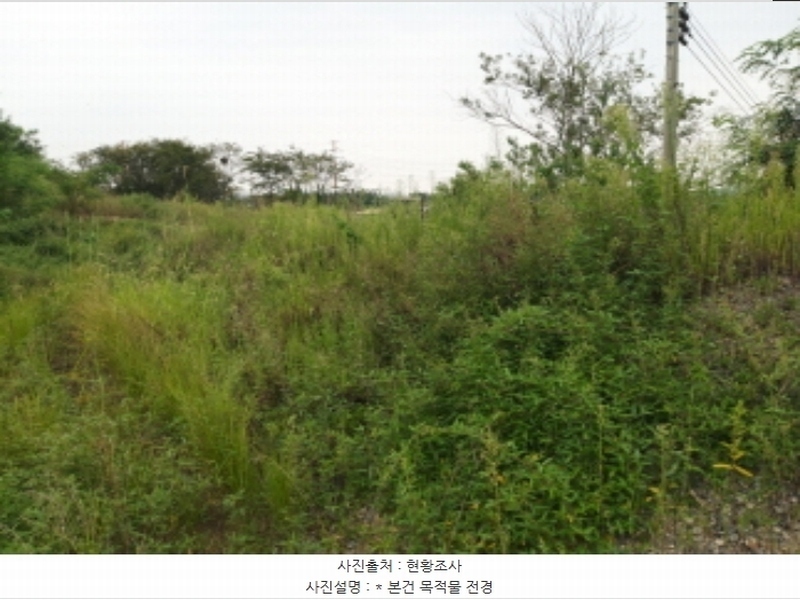 2024타경3808 경기도 평택시 팽성읍 신대리 271 대지 경매 이미지