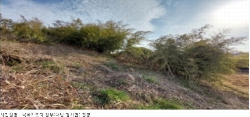 2024타경42896 경기도 평택시 포승읍 희곡리 128-10 임야 경매 이미지