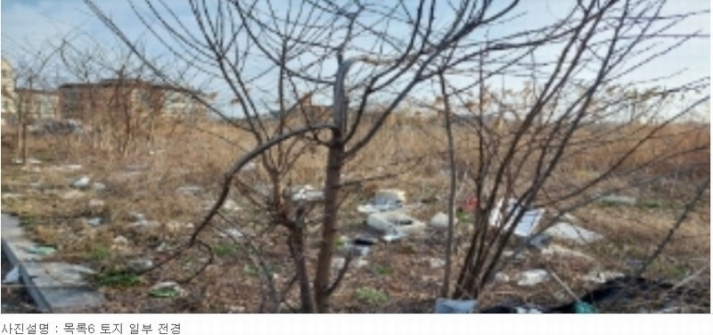2024타경42896 경기도 평택시 포승읍 희곡리 128-10 임야 경매 이미지