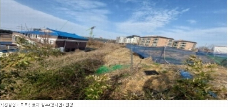 2024타경42896 경기도 평택시 포승읍 희곡리 128-10 임야 경매 이미지