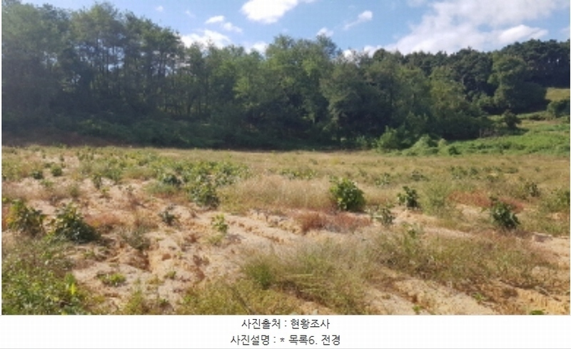 2024타경51999 경기도 안성시 사곡동 252-6 농지 경매 이미지