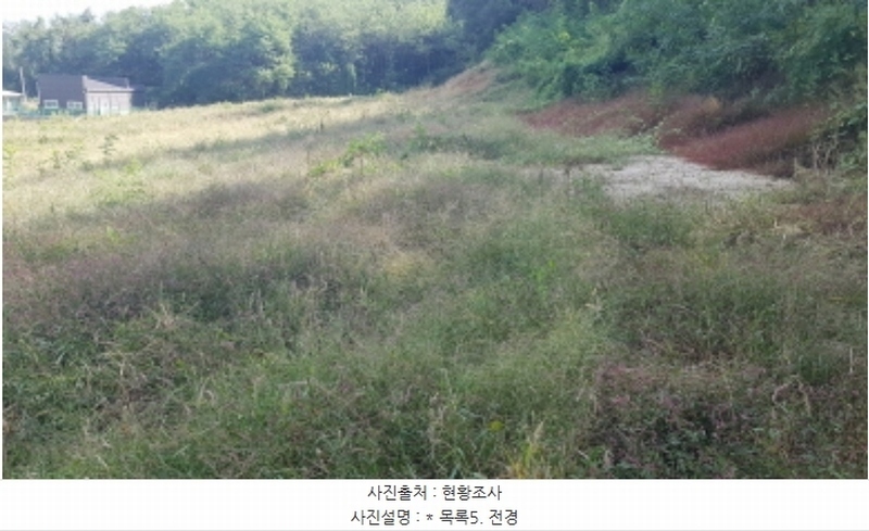 2024타경51999 경기도 안성시 사곡동 252-6 농지 경매 이미지