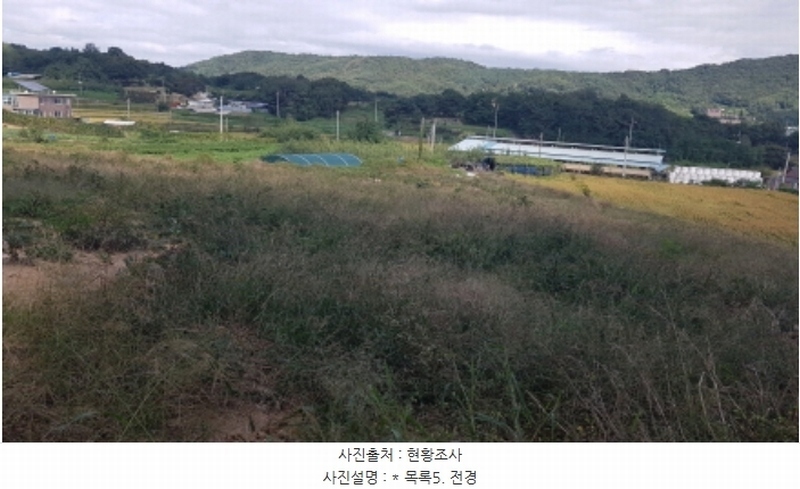 2024타경51999 경기도 안성시 사곡동 252-6 농지 경매 이미지