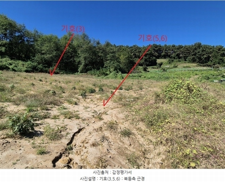 2024타경51999 경기도 안성시 사곡동 252-6 농지 경매 이미지