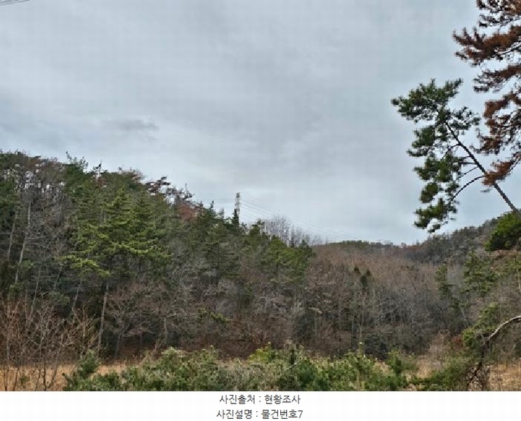 2025타경520 경상남도 하동군 금남면 진정리 산160-2 임야 경매 이미지