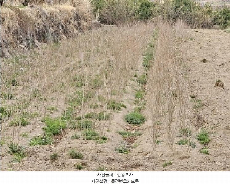 2025타경572 경상남도 하동군 악양면 정동리 366-5 농지 경매 이미지
