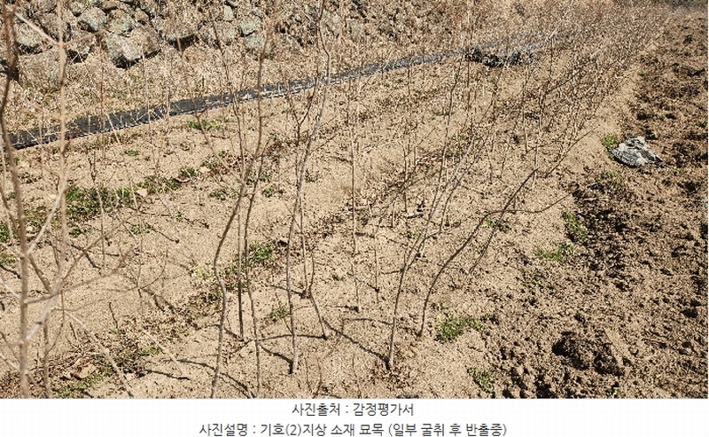 2025타경572 경상남도 하동군 악양면 정동리 366-5 농지 경매 이미지