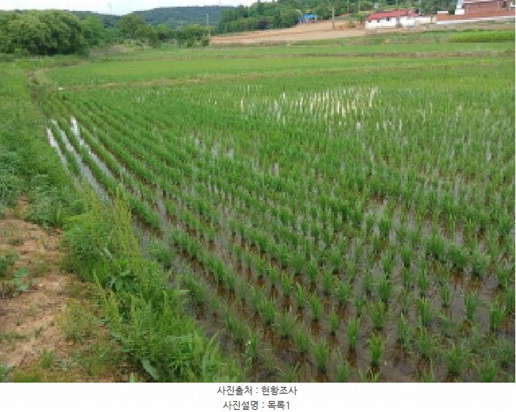 2025타경685 충청남도 서산시 대산읍 대산리 344 농지 경매 이미지
