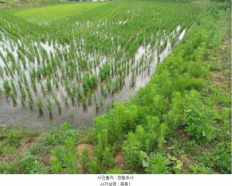 2025타경685 충청남도 서산시 대산읍 대산리 344 농지 경매 이미지