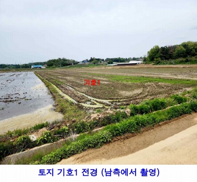 2025타경41811 경기도 평택시 포승읍 석정리 494 농지 경매 이미지