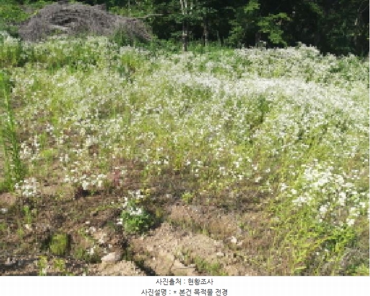 2025타경41960 경기도 평택시 청북읍 후사리 481 농지 경매 이미지