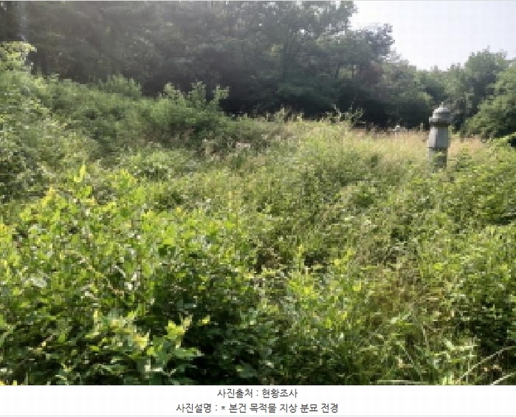 2025타경42038 경기도 평택시 오성면 양교리 산75-2 임야 경매 이미지