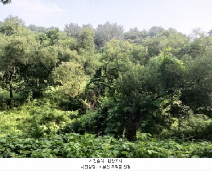 2025타경42038 경기도 평택시 오성면 양교리 산75-2 임야 경매 이미지