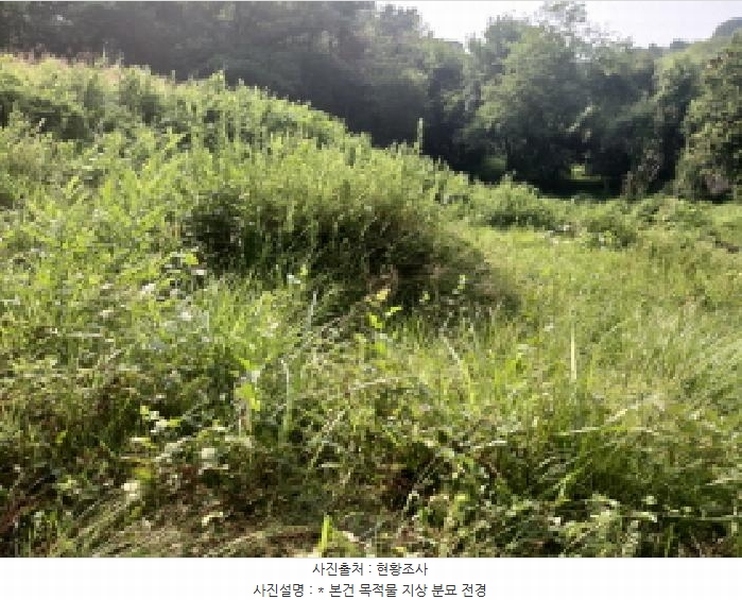2025타경42038 경기도 평택시 오성면 양교리 산75-2 임야 경매 이미지