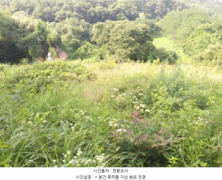 2025타경42038 경기도 평택시 오성면 양교리 산75-2 임야 경매 이미지