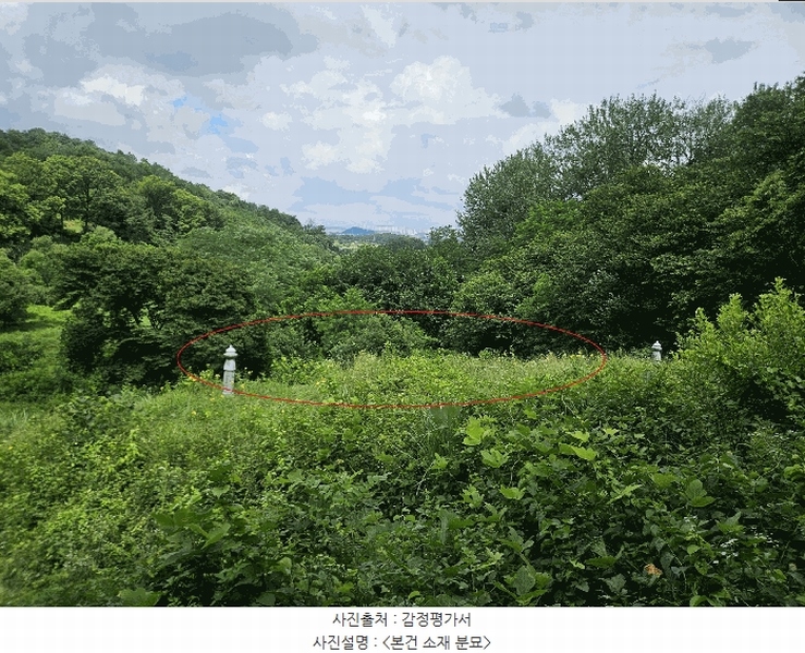2025타경42038 경기도 평택시 오성면 양교리 산75-2 임야 경매 이미지