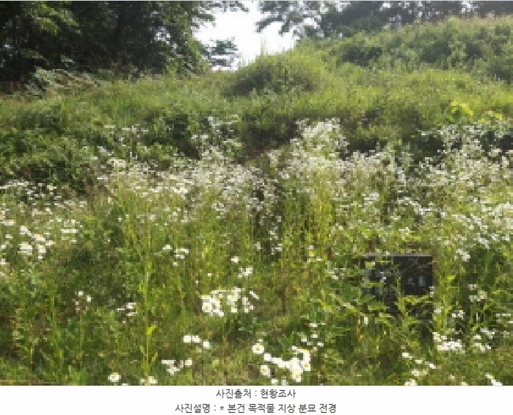 2025타경42038 경기도 평택시 오성면 양교리 산75-2 임야 경매 이미지