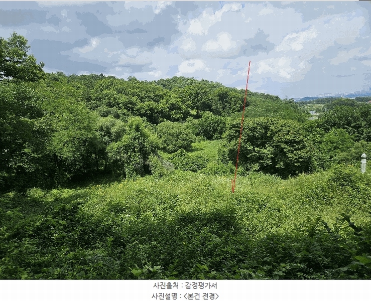 2025타경42038 경기도 평택시 오성면 양교리 산75-2 임야 경매 이미지