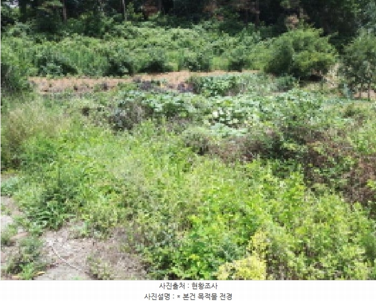 2025타경42231 경기도 평택시 세교동 627-4 대지 경매 이미지