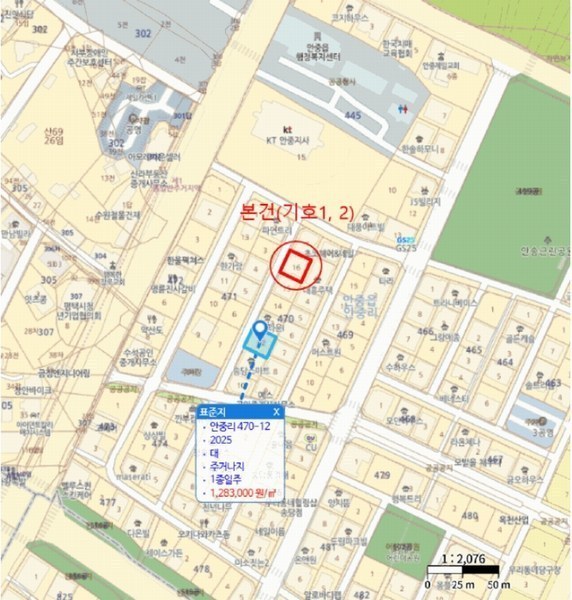 2025타경42513 경기도 평택시 안중읍 안중리 470-16 다가구(원룸등) 경매 이미지