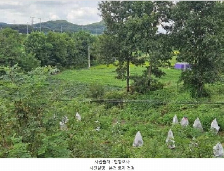 2025타경42522 경기도 평택시 청북읍 백봉리 338-7 농지 경매 이미지